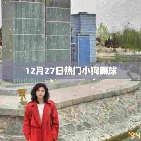 小狗踢球狂欢,揭秘热门事件背后的故事