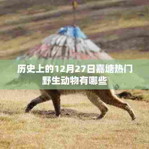 嘉塘野生动物热点,历史上的十二月二十七日盘点