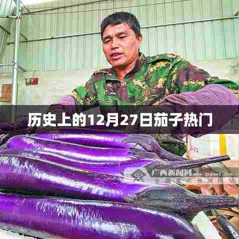 历史上的茄子热门事件，揭秘茄子背后的故事