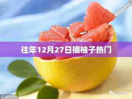 柚子采摘季,年末27日热门活动揭秘