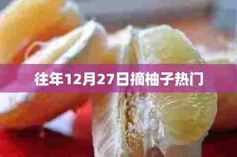 柚子采摘季,年末27日热门活动揭秘