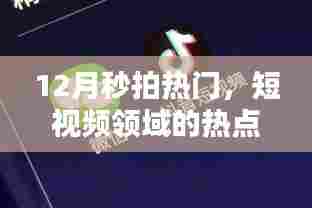 候鸟南飞 第2页