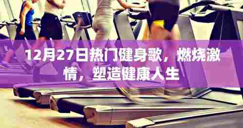 澹泊明志 第3页