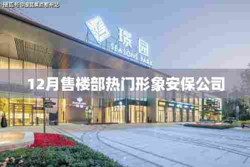 12月售楼部热门安保公司形象展示