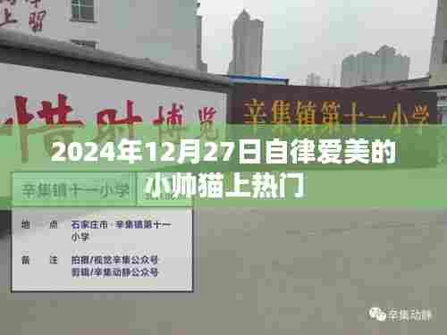 自律爱美小帅猫走红，2024年12月27日成焦点