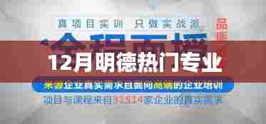 明德热门专业解读，深度了解十二月热门专业