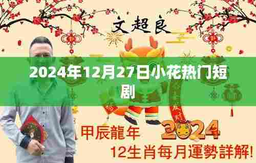 小花热门短剧，2024年12月27日精彩抢先看