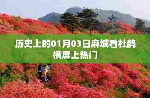 麻城杜鹃盛宴，历史视角下的横屏热门事件