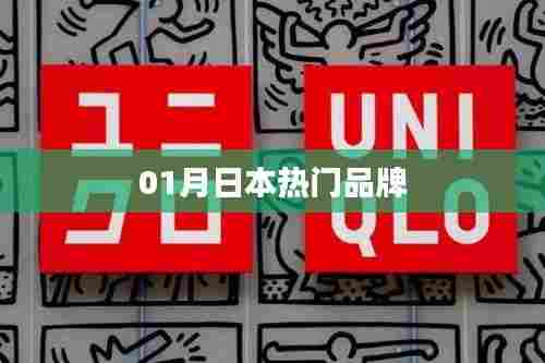 日本热门品牌一月盘点