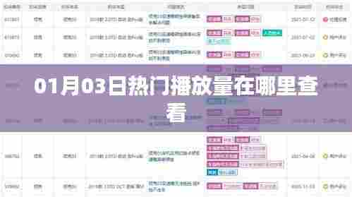 热门播放量查看指南，01月03日在哪里看？
