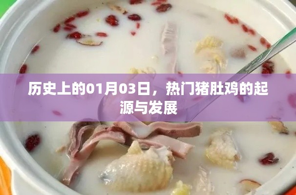 热门猪肚鸡起源与发展,历史视角下的01月03日