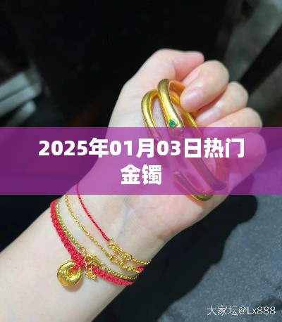 『2025年1月3日金镯大热』