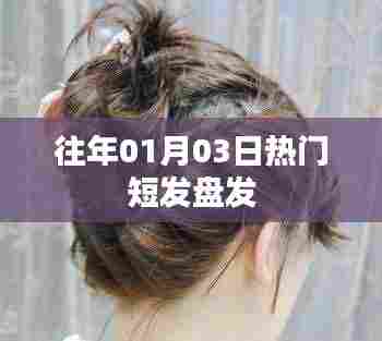 精选时尚短发盘发造型,新年热门发型推荐