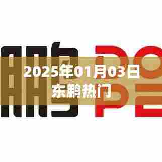 东鹏热门资讯,2025年1月3日动态