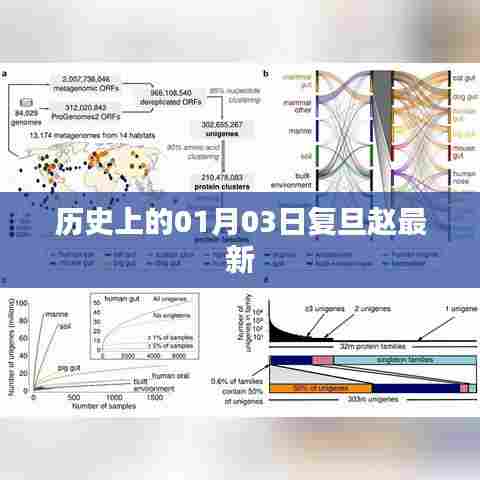 复旦赵最新，揭秘历史上的01月03日事件