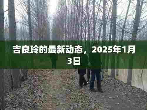 吉良玲最新动态曝光，2025年1月3日更新