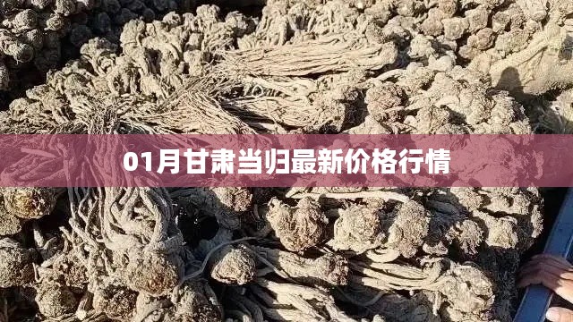 贵戚之卿 第3页