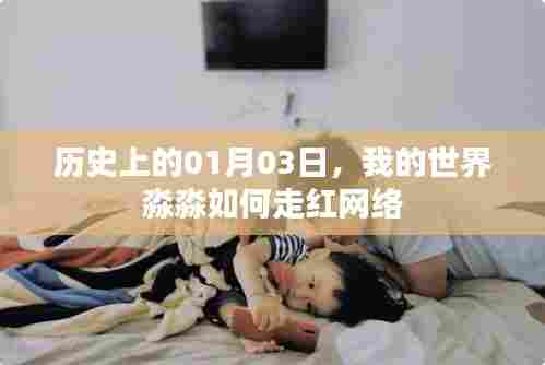 我的世界淼淼网络走红记，历史性的01月03日
