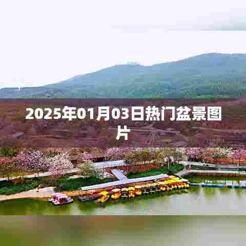 『盆景爱好者必看，最新盆景美图集』