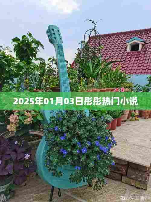 彤彤小说，最新热门作品发布于2025年