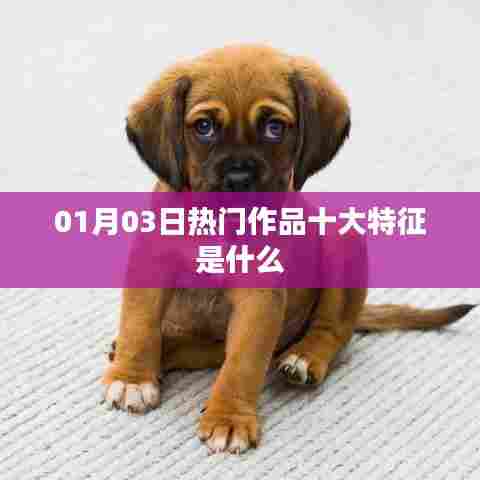 热门作品十大特征揭秘，01月03日流行趋势分析