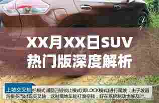 SUV热门版深度解析,全方位解读车型特点