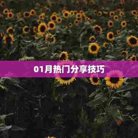精选分享技巧,一月热门秘籍