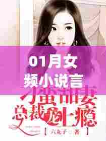 女频热门宠文，一月言情言情小说大赏