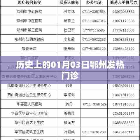 鄂州发热门诊历史回顾，一月三日的重要时刻