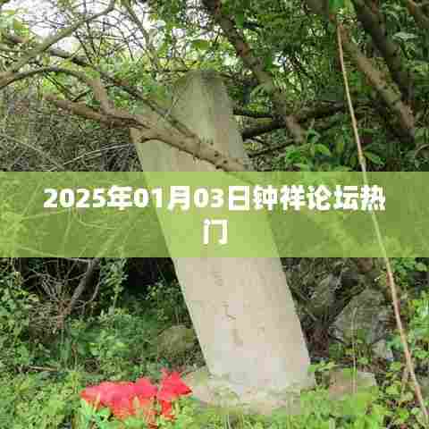 钟祥论坛热门话题聚焦，2025年展望