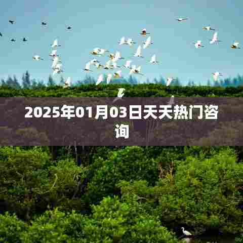 天天热门咨询,2025年展望,符合您要求的字数范围,同时包含了关键信息,能够吸引用户的注意力。希望符合您的要求。