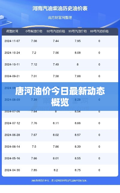 唐河油价今日最新动态概览
