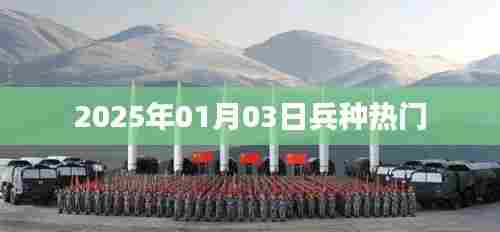 2025年兵种热门概览