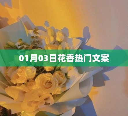 寥寥无几 第3页