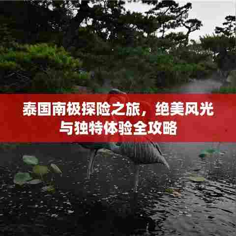 泰国南极探险之旅,绝美风光与独特体验全攻略