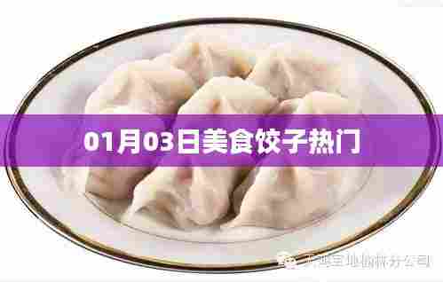 美食饺子，热门美食，不容错过！