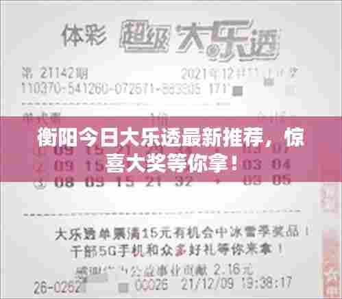 衡阳今日大乐透最新推荐,惊喜大奖等你拿!