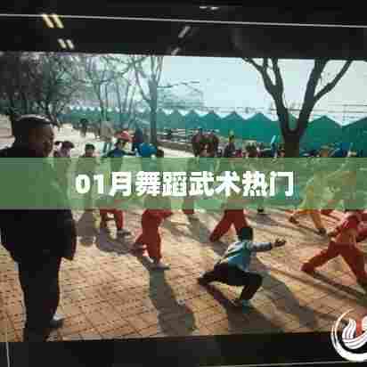 一月舞蹈武术风潮来袭