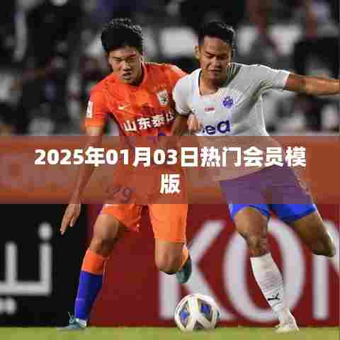 2025年热门会员模版一网打尽!