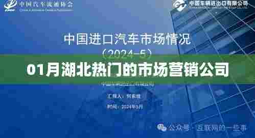 湖北一月份热门市场营销公司推荐