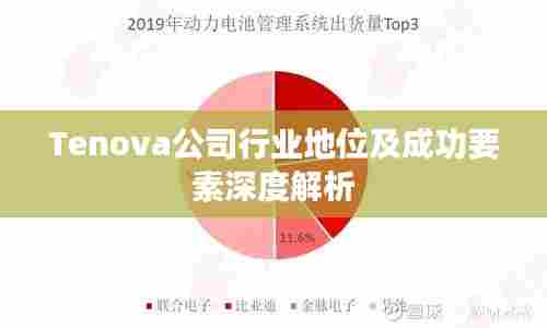 Tenova公司行业地位及成功要素深度解析