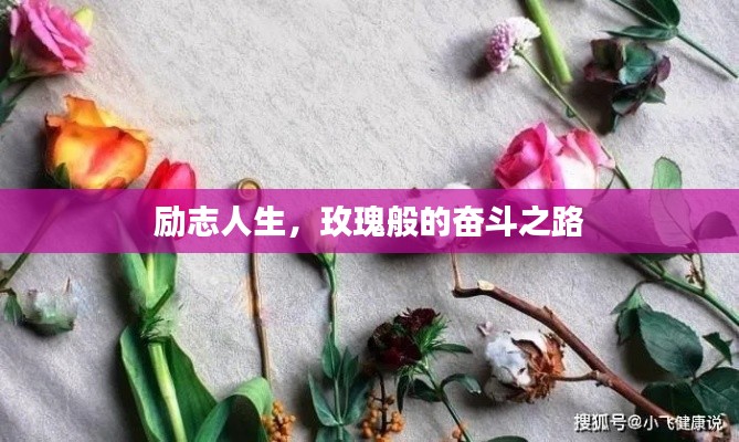 励志人生，玫瑰般的奋斗之路