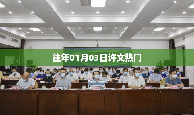 许文历年热门事件回顾