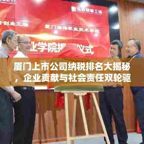 厦门上市公司纳税排名大揭秘，企业贡献与社会责任双轮驱动