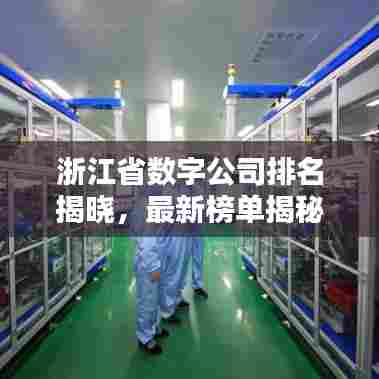浙江省数字公司排名揭晓,最新榜单揭秘!