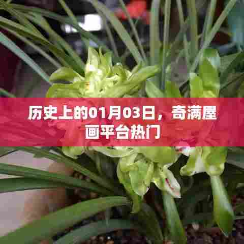 历史上的今日，奇满屋画平台热门事件揭秘