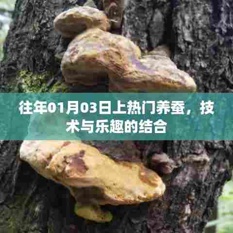 养蚕热潮来袭，技术与乐趣的完美结合