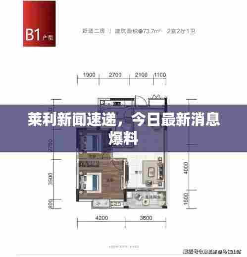 莱利新闻速递，今日最新消息爆料