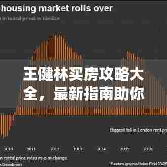 王健林买房攻略大全，最新指南助你轻松购房！