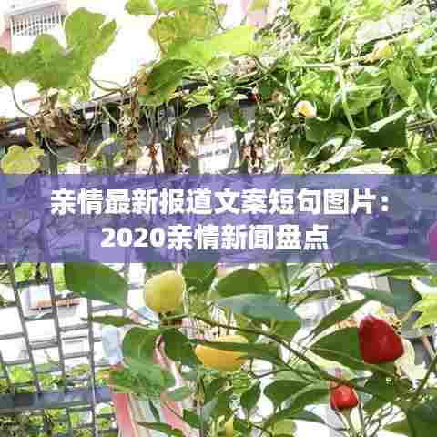 巧舌如簧 第2页